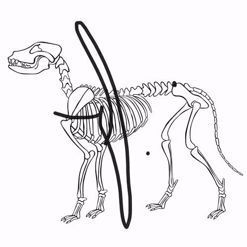 Item #66115251428437251400949335005857765940906863007353817121707627003351987650561 Media