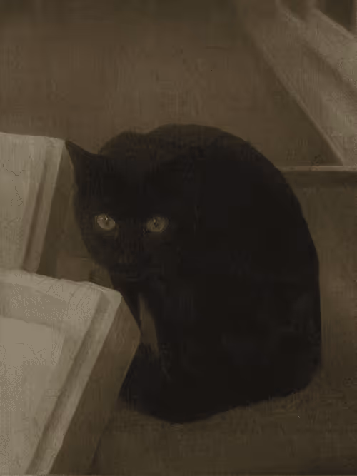 Item #102650025238985064889532626323507420633017859616961165632132729964998338543617 Media