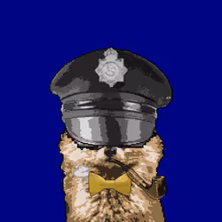 13313825994980351745506845005889443412334519340224243119891184982523847376897