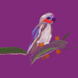 parrot2