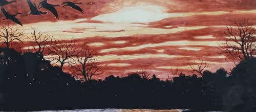 Untitled Collection #44944442 - old