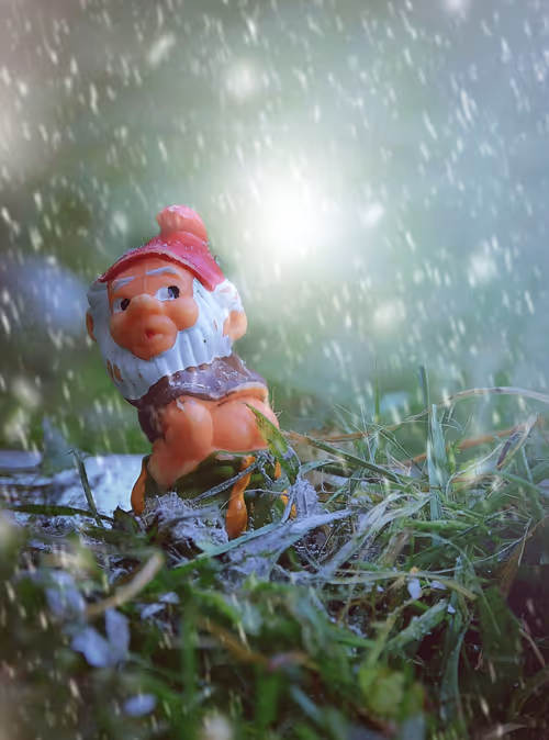 Item #74202252938390004616604948620215209941710540159636639522178368026000891052033 Media