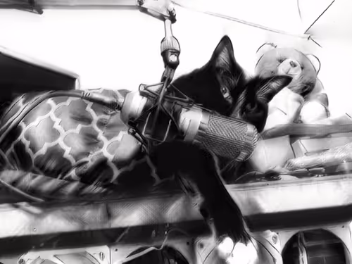 Item #47363753603702379708308966357623410528548816847410412850833506824603790475364 Media