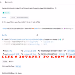 Life's Journey to know Shiba Token