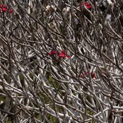 105679162715773690367894814568251153202929894369313826483118647805907602243585