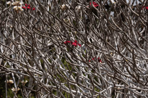 Item #105679162715773690367894814568251153202929894369313826483118647805907602243585 Media