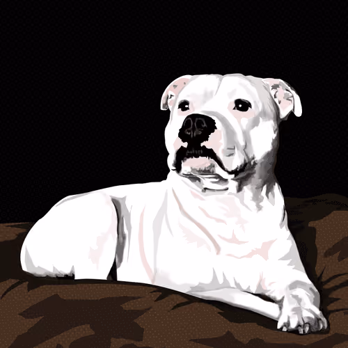 The OG Good Boy 