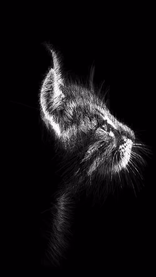 Item #20286817641922993541065929101952433978531825078991625494647867590998845554689 Media