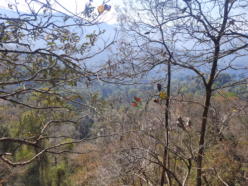 Item #86460548825896395183188707427462696963522650148758793724109723207657781723137 Media