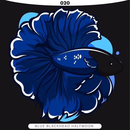 Item #71915282176282174012632358448723633474544225318645324977784202305393322360833 Media