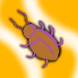 Purple shadow Roach