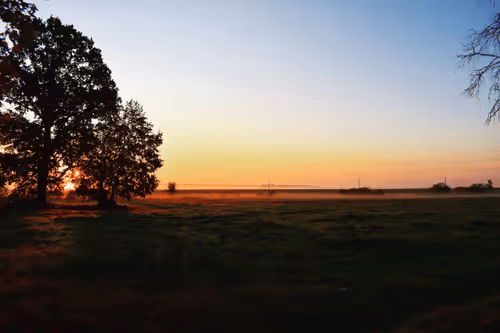 Item #25048395052866519615583306303043483840076282884633851044387431710282013999105 Media