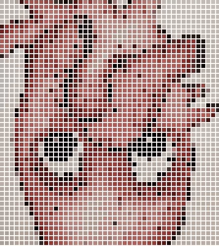 Do You See 2 logo