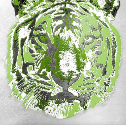 Item #86237857260230094109351666257840853512560942503418433082652455687785866592356 Media