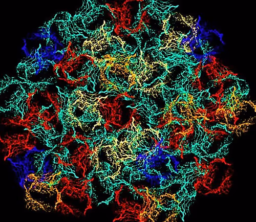 Item #97667747305328880677719999642930270019019806513031101726286666976323830808577 Media