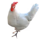 36383620159570865932656878930770165762469096320658300272737020008541408198657
