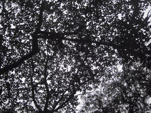 Untitled Collection #38080022