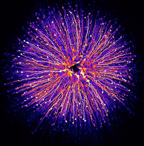 Item #23217486054753313313832658435722255441588252076400940924868810802226329026561 Media