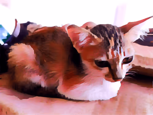 Item #74122138759525378795667626270866148487737655975912799548892276709145473712129 Media