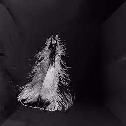 72932321608233697749117711298000337470595698923978217717692158316525199032321