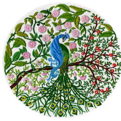 Peacock