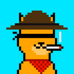 90563394352690505221166821639831502595964177235090668543198270087527640596481