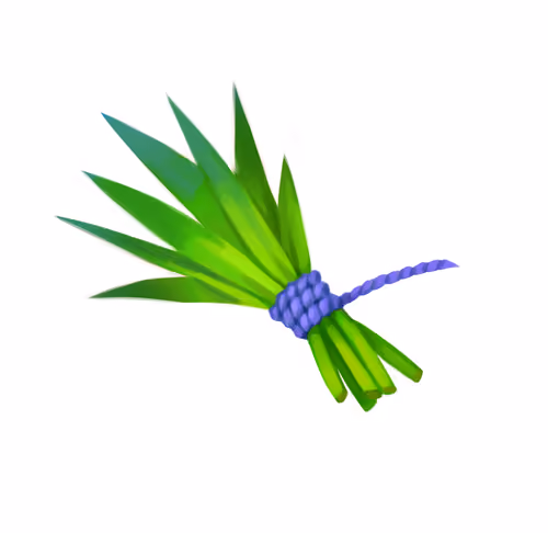 Item #21129998842091668101350798137558333384232276019176160248340398494518098264099 Media