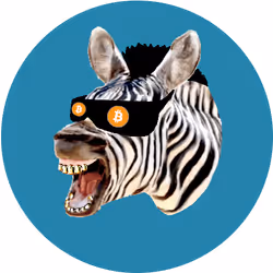 89672271446839414802225105783550386959596651586705601952650474555844476272641