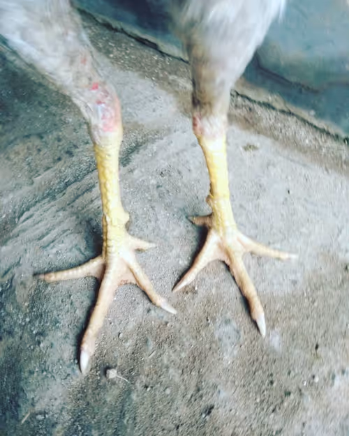 Item #103224514813489058861169925516490363188094921324422639618095811710933652209665 Media