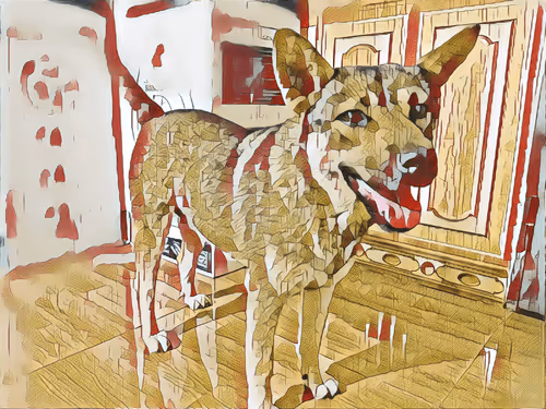 Item #74122138759525378795667626270866148487737655975912799548892275508478776180737 Media