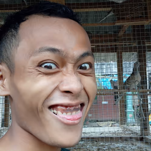 439049340968981866709079485805570550088941763084455559998263107412868202497