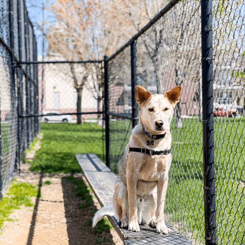 93545033271846001454118804230311667247513649279000342993662872586986715086849