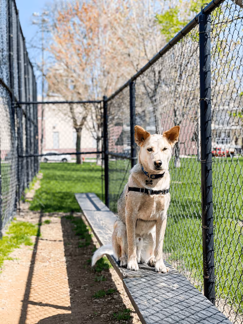 Item #93545033271846001454118804230311667247513649279000342993662872586986715086849 Media