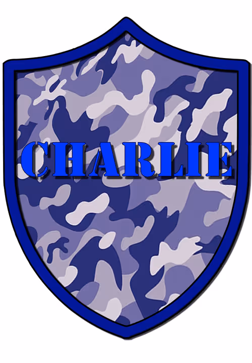 Item #98788858280435980205088456628036807215220664032507503028741618521853757751297 Media