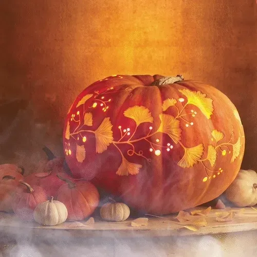 15081463501546268006596121588316872326209313817998412847676536890628526571521