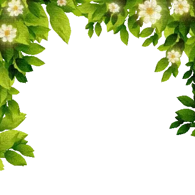 Untitled Collection #451812859