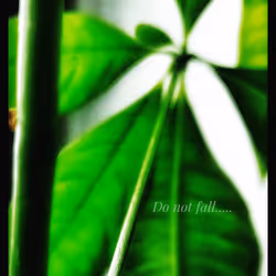 3787080761074609709675817509753112159059746763483256848434353586383710322689