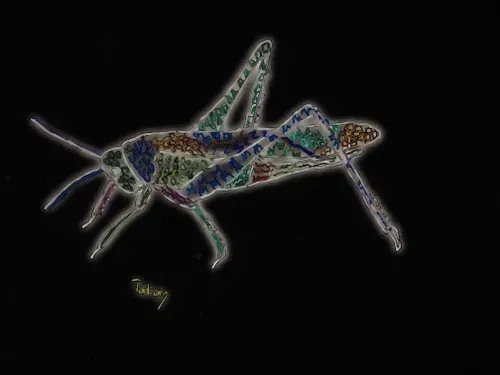 Item #80926432860847288351557924068159633664804178470775081465336394577284568187102 Media