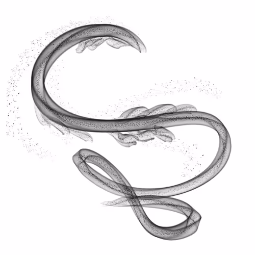 Item #79922358363691255321444568387952983801156131754257850446438884526806876028929 Media