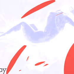 108764752838295203426064024840912078929350984290010995656931110200156834758657