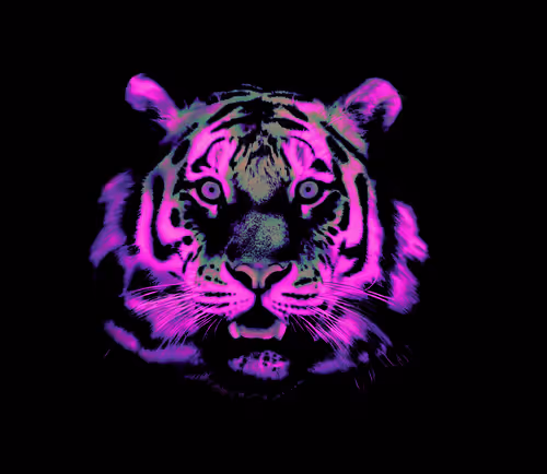 Item #59191331976373817351168936275193705412897253256458674987346138608299086446593 Media