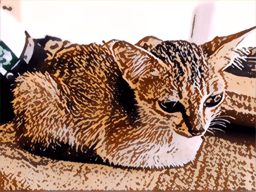 Item #74122138759525378795667626270866148487737655975912799548892276680558171389953 Media