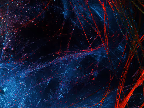 Item #93051036356902237054325039846776692783548745425940251764259175243849480011779 Media