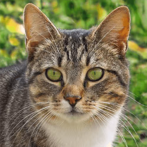 Item #106393158711752592444527764053332067386103257112262188176365274698702057897985 Media