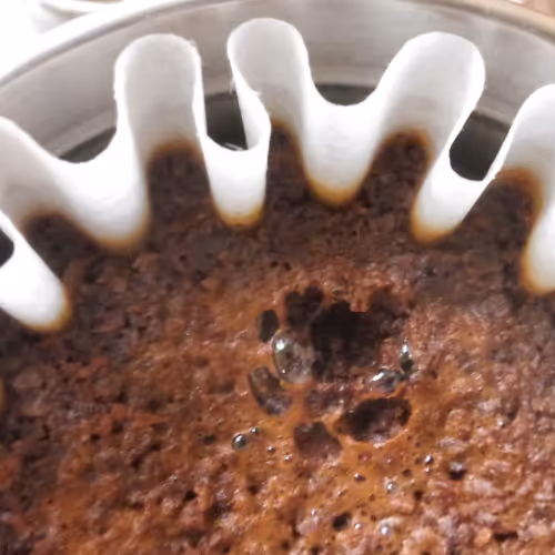 Untitled Collection #96218547