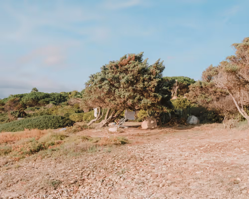 Item #38122789688901439809608562856729085960358328057221492569725414910390043672577 Media