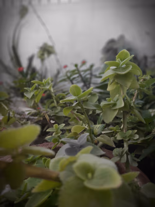 Item #86460548825896395183188707427462696963522650148758793724109723187866572423169 Media