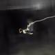 66452819172622701428948065034267222490097703426417605773472906327616263290881