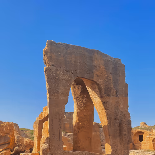 Item #92924234240543460592746827118063714789910683519939589836735102394147425746954 Media