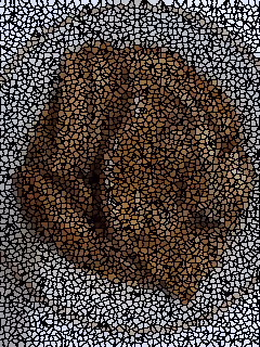 106753738134508710146328373685548220677488860622366401060819264632463997009921